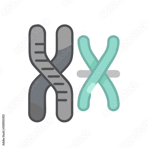 Genetic engineering icons depicting chromosomes in flat design  