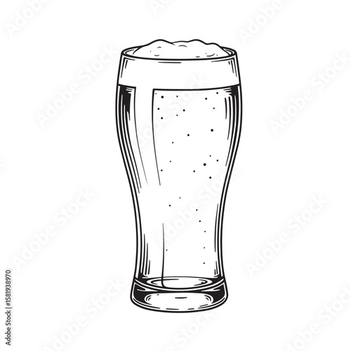 Frothy beverage in tall glass beer drink