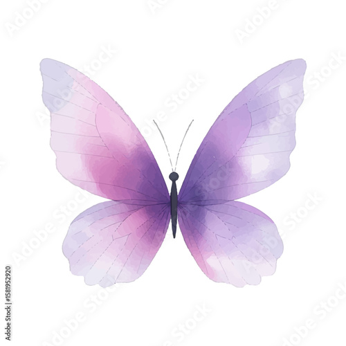 Purple butterfly. Hand-drawn watercolor illustration. Isolated object on a white background for decoration and design