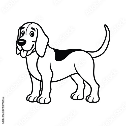 Happy beagle dog standing with tongue out canine animal