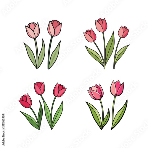 Pink and red tulips with green leaves flowers floral
