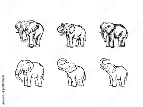 Playful elephant illustrations in black and white elephants drawing