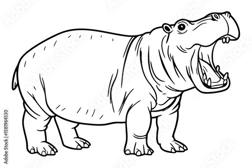 A hippopotamus stands with its mouth open