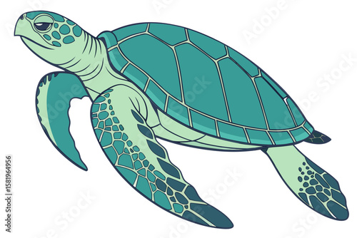 A sea turtle with a patterned shell swims in the ocean