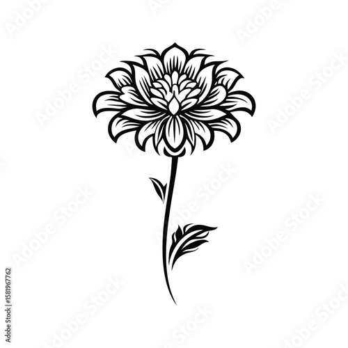 Stylized black flower with detailed petals and leaves white bloom