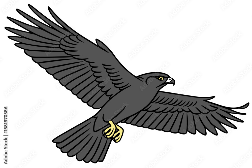 Fototapeta premium A hawk glides through the air with its wings extended