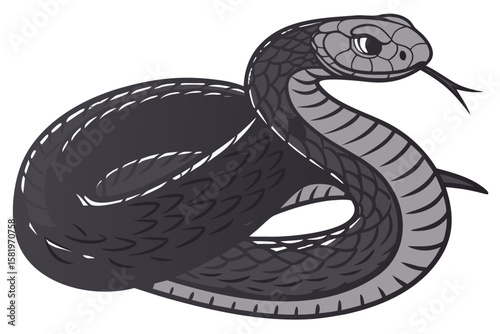 A detailed illustration of a black snake coiled on white