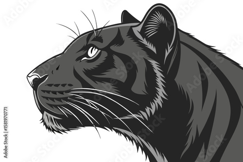 A black panther head illustration on a white background