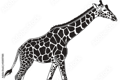 A black silhouette of a giraffe walking