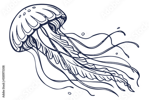 A detailed outline drawing of a jellyfish swimming