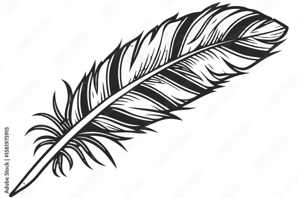 Obraz premium A single black feather isolated on a white background