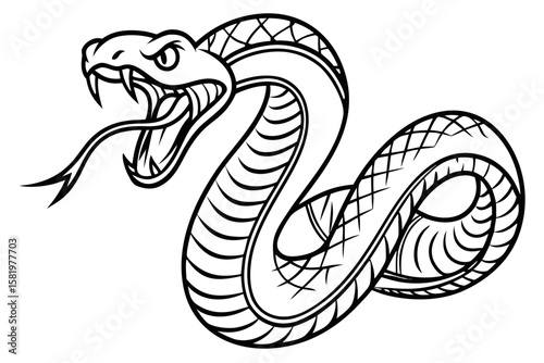 Aggressive snake hissing isolated on white background