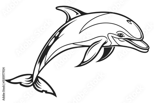 A dolphin leaps joyfully out of the water