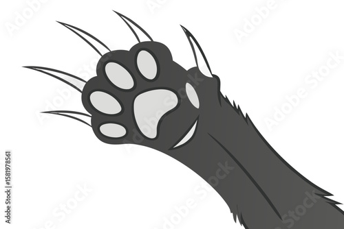 Feline paw with sharp claws extended, isolated on white