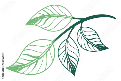 A green branch with leaves, representing growth and nature