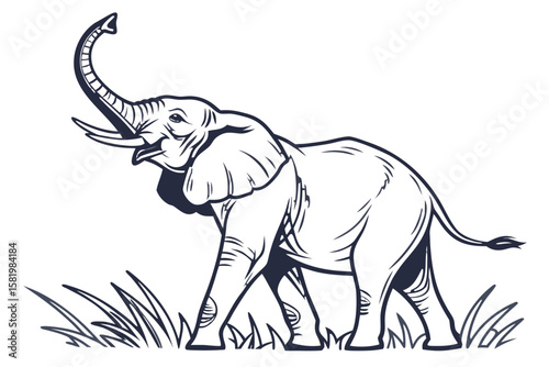 An elephant with its trunk raised on a white background