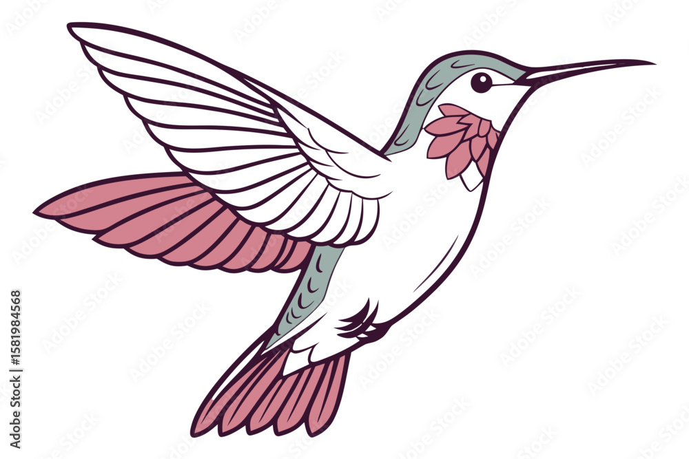 Obraz premium A pink and green hummingbird in flight, isolated on white