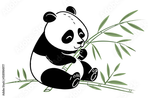 Cute panda bear eating bamboo, isolated on white background