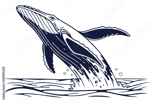 Majestic humpback whale leaping from the sea, dark blue illustration