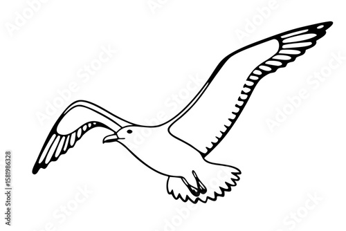 A seagull flying with its wings spread wide