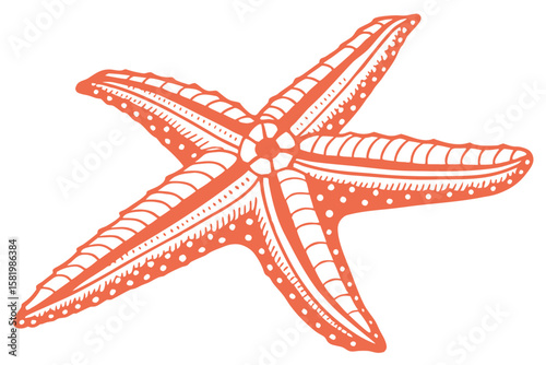 A red starfish with a patterned body and arms