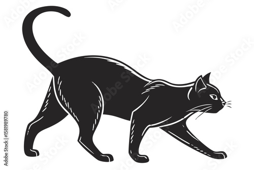 Black cat walking with its tail curled