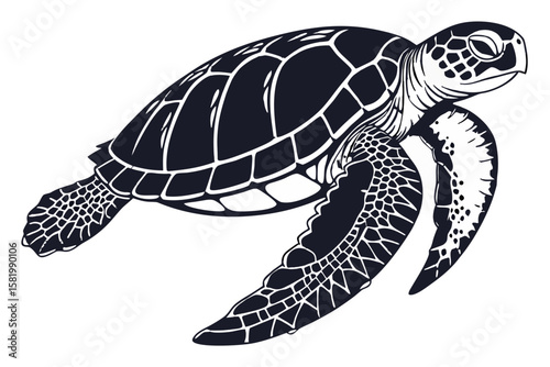 A sea turtle swimming in the ocean