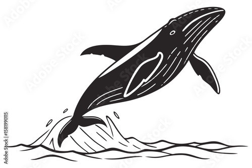 A whale breaching out of the ocean water