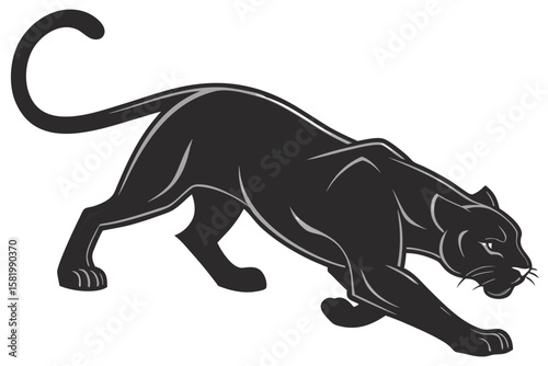 A black panther crouches low, ready to pounce