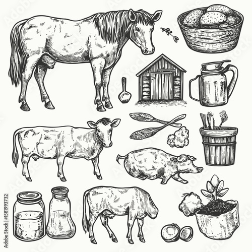 Hand drawn farm animals cow horse pig with milk jar bread basket barn scoop bucket eggs plant seeds doodle sketch style vector illustration agricultural life icons set