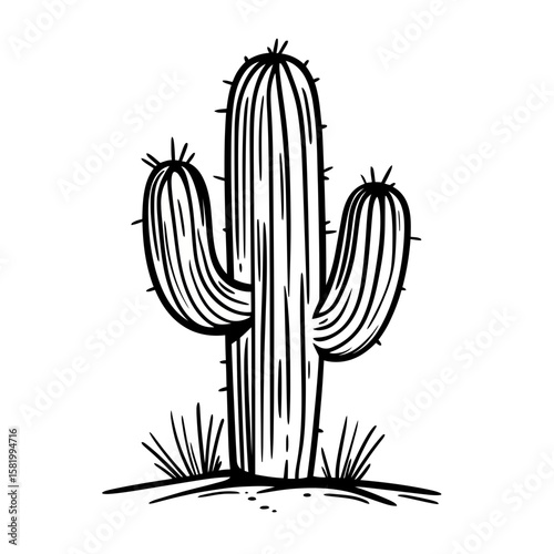 Hand drawn saguaro cactus doodle sketch with spines and desert grass illustration in black and white minimalist line art style isolated on white background vector