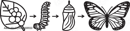 Butterfly life cycle stages leaf caterpillar chrysalis adult metamorphosis