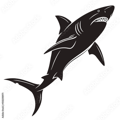 shark vector illustration