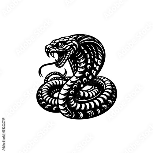 black and white dragon