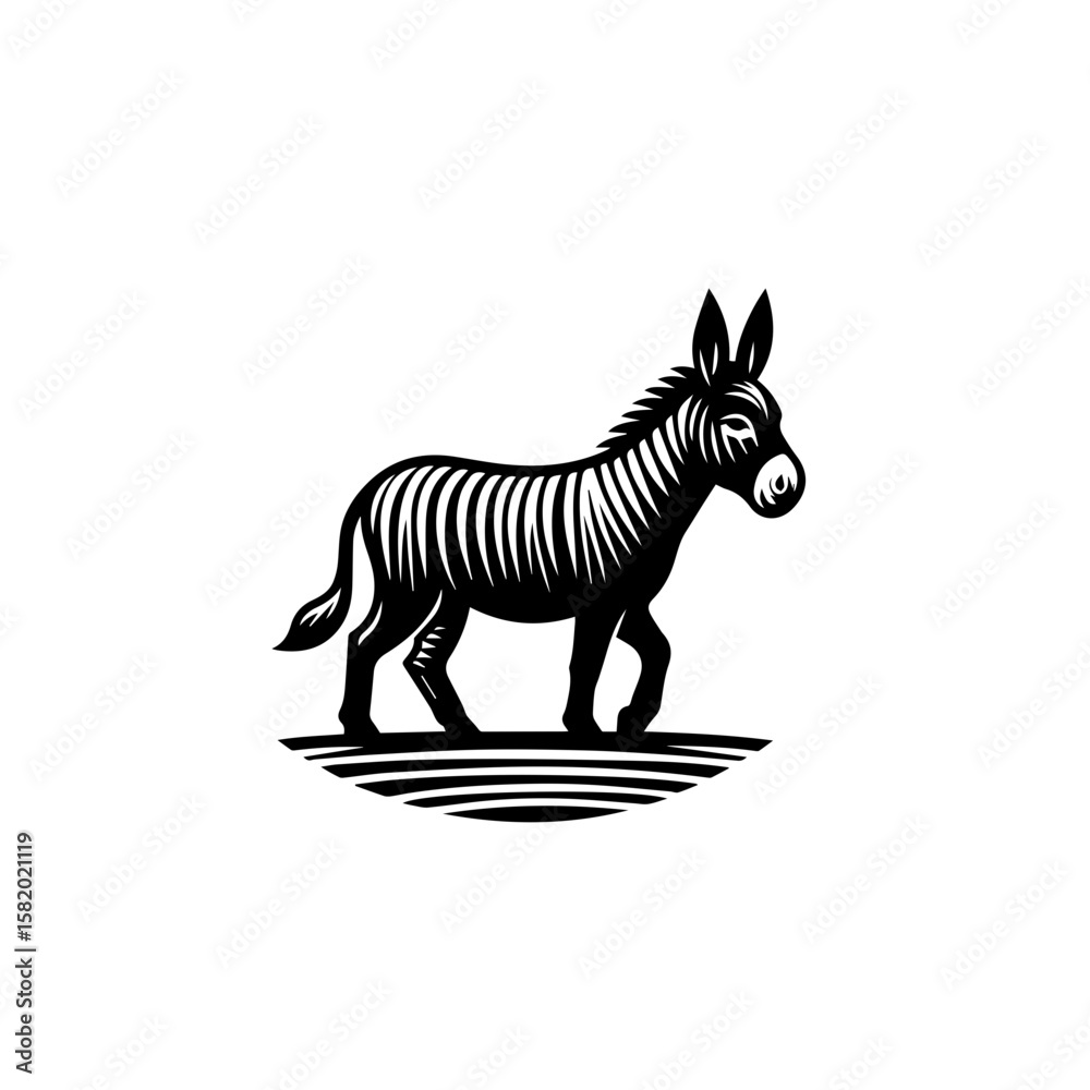 Fototapeta premium zebra isolated on white