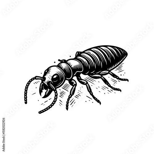 Termite Illustration: A detailed black and white illustration of a termite showcases its unique body structure and insect features, perfect for educational and scientific contexts.