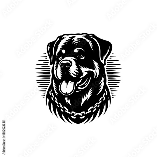 vector illustration of a dog