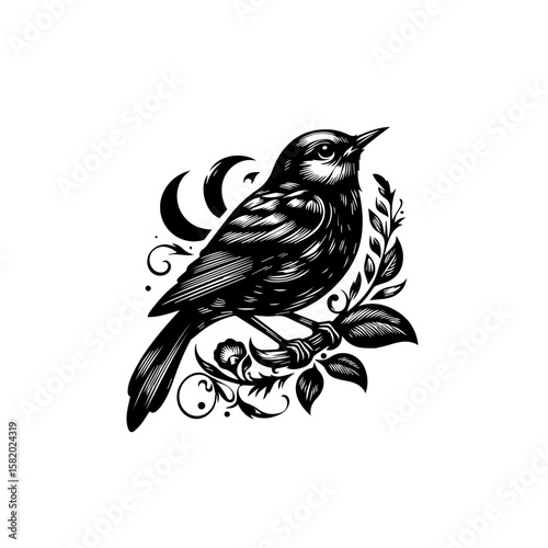 bird on a branch