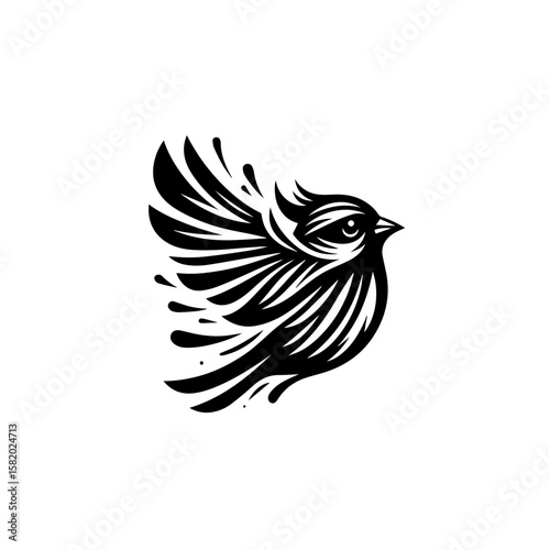 bird of prey