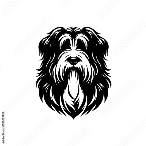 dog with bone