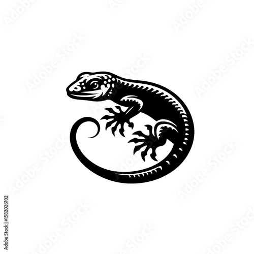 lizard isolated on white