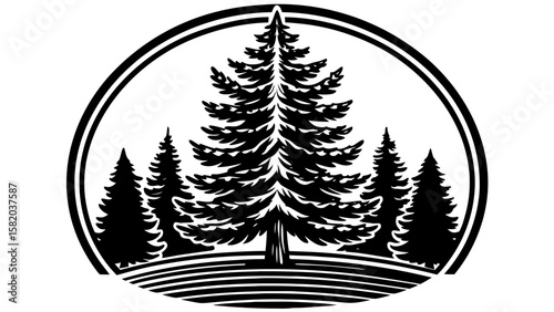 Evergreen Tree Forest Silhouette – Nature Scene Vector Clipart