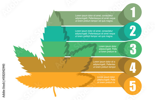 Cannabis leaf with five features or option of project to select. Minimal infographic information for health care issues visualization. Science technology. Chemistry, laboratory and biotechnology.