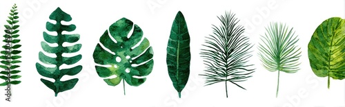 Eight watercolor tropical leaves, various shapes and shades of green, isolated on white
