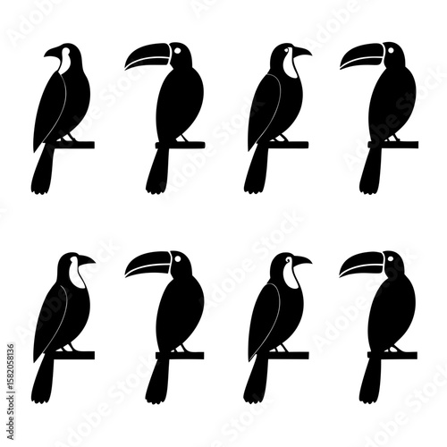 Eight black toucan silhouettes perched bird