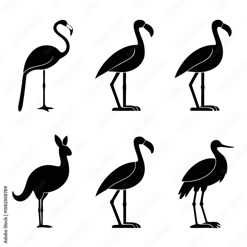 Obraz premium Six elegant birds standing gracefully flamingo