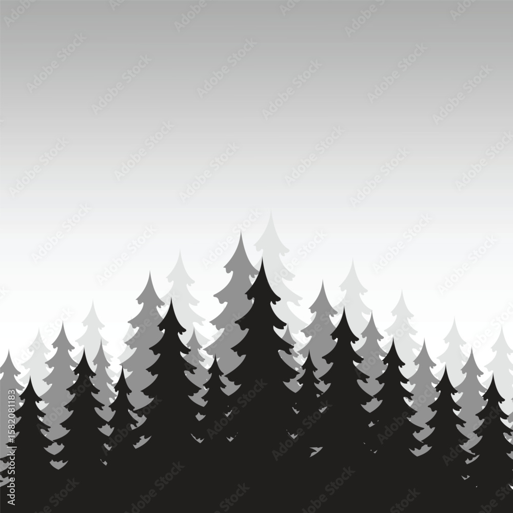 Obraz premium tree in fog , Pine trees silhouettes, Silhouette of a pine tree forest 