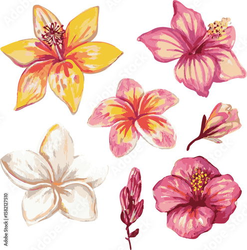 mixed flower and sea shell motifs cute surf hibiscus girl painted effect sea ocean Hawaii beach tropical Trending Script Slogan Graphic Tee t-shirt logo artwork typography tote badge emblem crest 