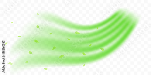 Fresh forest air swirl. Wind flow with flying green leaves. Realistic 3D vector illustration isolated on transparent background.