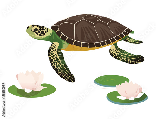 Turtle Walking by Water with Lily Pads